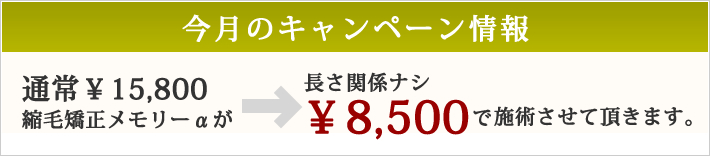 今月のキャンペーン情報