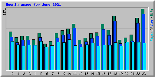 Hourly usage for June 2021